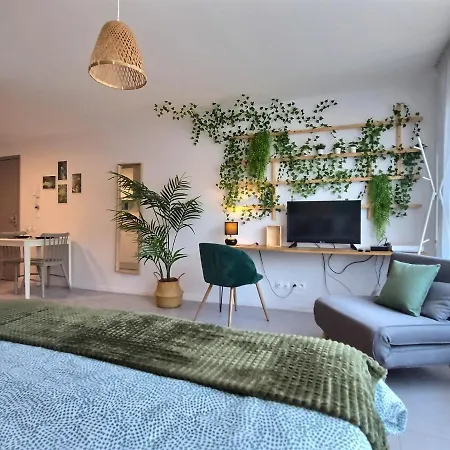 Le Riviera - Roissy Cdg - Parc Asterix - Paris Apartment Moussy-le-Neuf Exterior photo